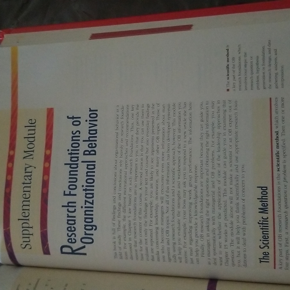 Organizational Behavior - Picture 10 of 16